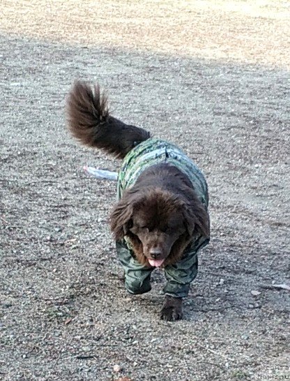 Фотография № 240345