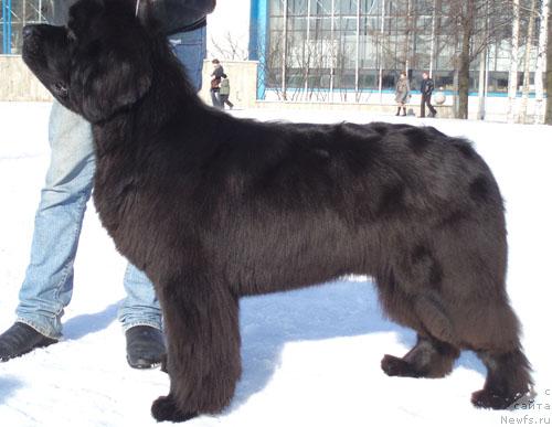 Фотография № 24035