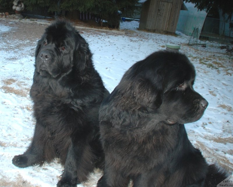 Фотография № 240354