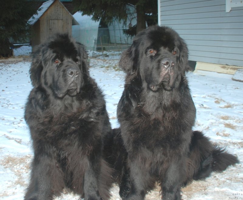 Фотография № 240356