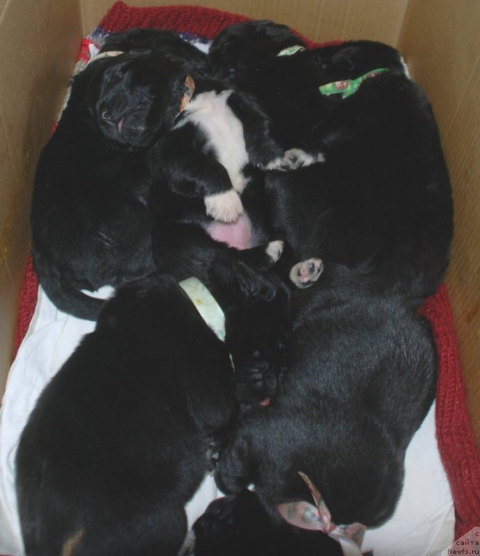 Фотография № 240358