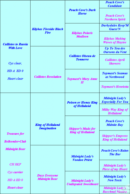 Фотография № 240359