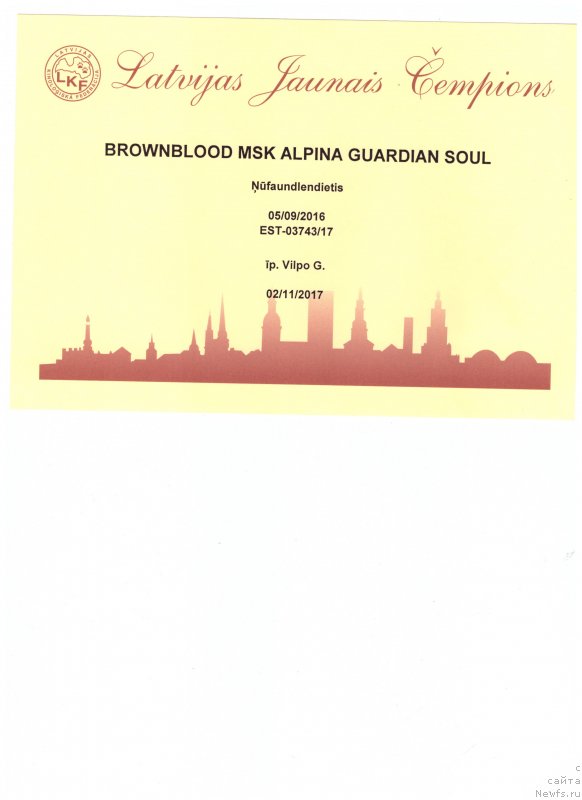 Фото: ньюфаундленд Brownblood MSK Alpina Guardian Soul (Браунблад МСК Альпина Гуардиан Соул)