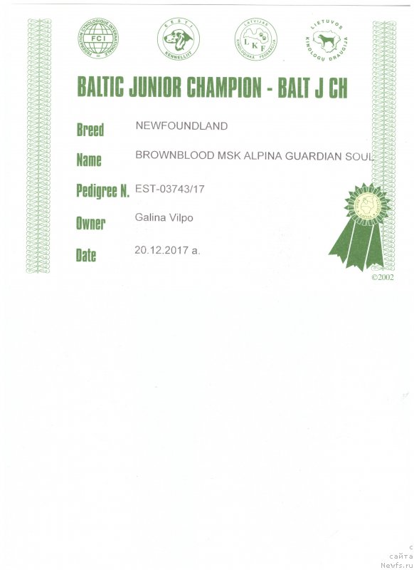Фото: ньюфаундленд Brownblood MSK Alpina Guardian Soul (Браунблад МСК Альпина Гуардиан Соул)