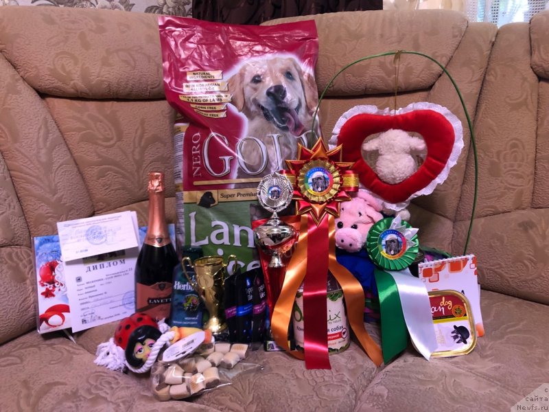 Фотография № 240408