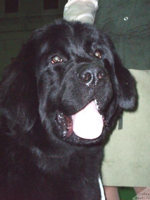 Фотография № 24041