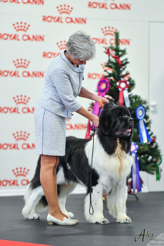 Фотография № 240422