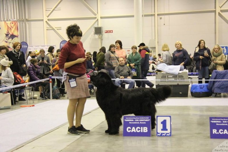 Фотография № 240424