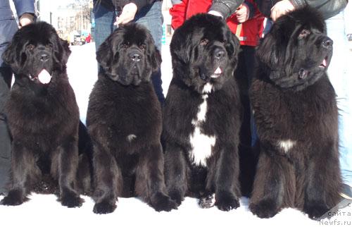 Фотография № 24043