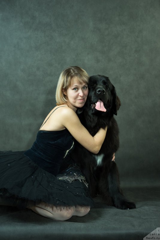 Фото: ньюфаундленд Laskoy Sogrevayuschaya Laika (Лаской Согревающая Лаика), ньюфаундленд Laskoy Sogrevayuschaya Laika (Лаской Согревающая Лаика), Elena Kazanceva (Елена Казанцева)