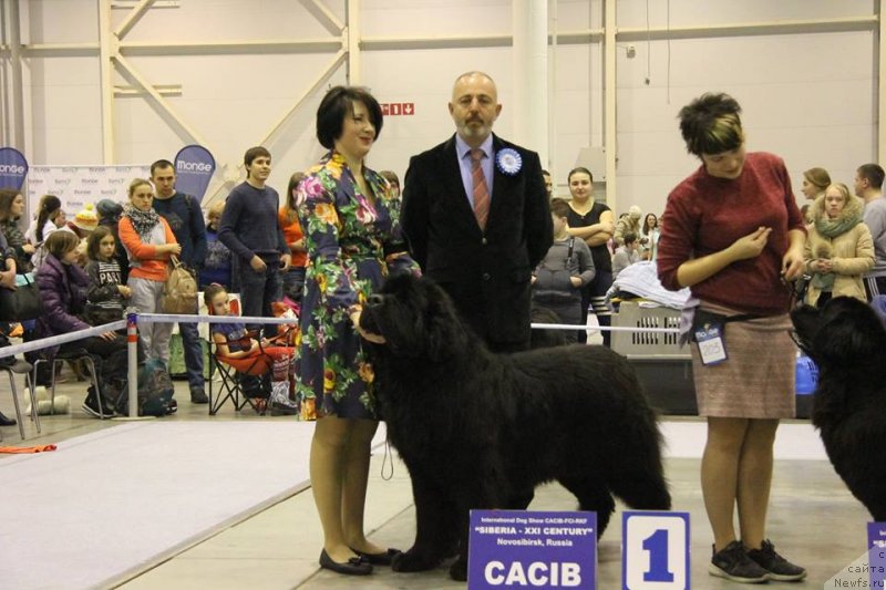 Фотография № 240451