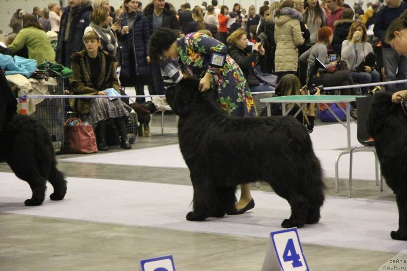 Фотография № 240452