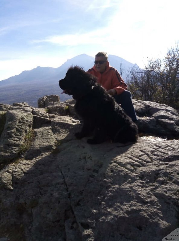 Фотография № 240460