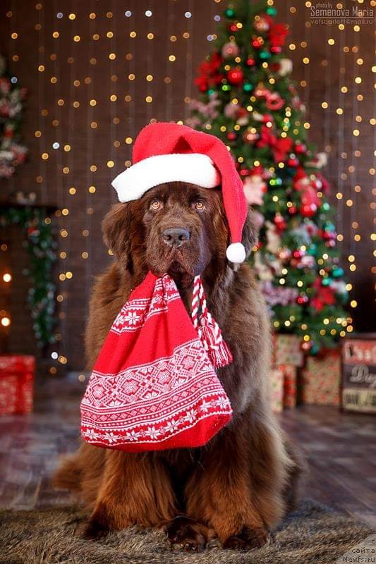 Фотография № 240550