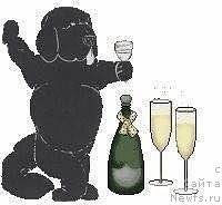 Фотография № 240570