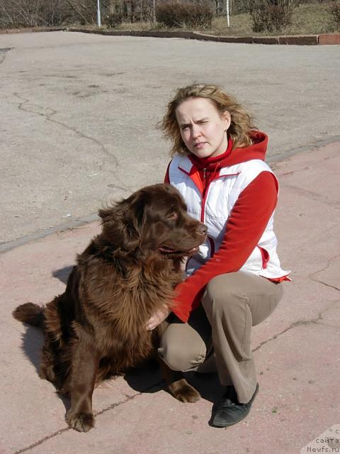 Фото: Diana Larina (Диана Ларина), ньюфаундленд Lesnaya Skazka Izabella (Лесная Сказка Изабелла)