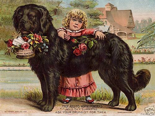 Фотография № 240590