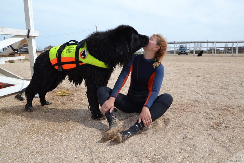 Фотография № 240591