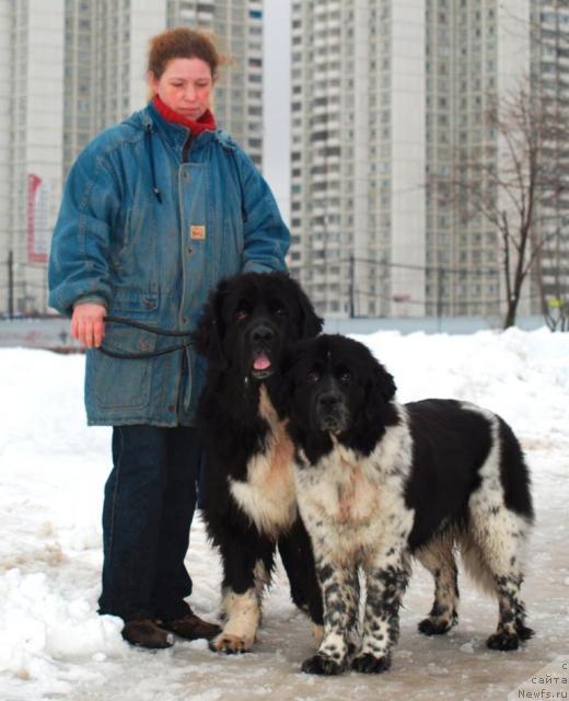 Фотография № 24060