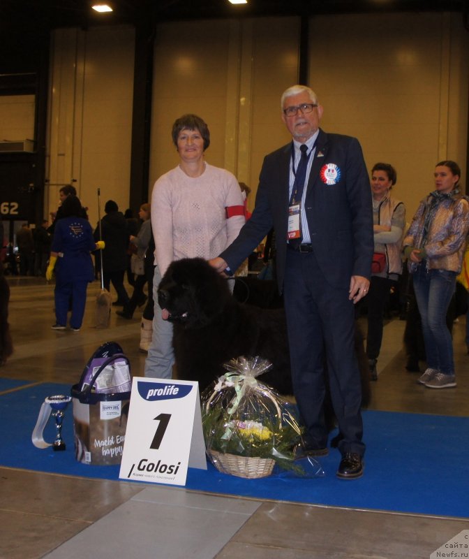 Фотография № 240602