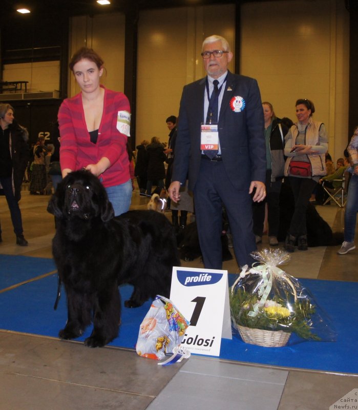 Фотография № 240603