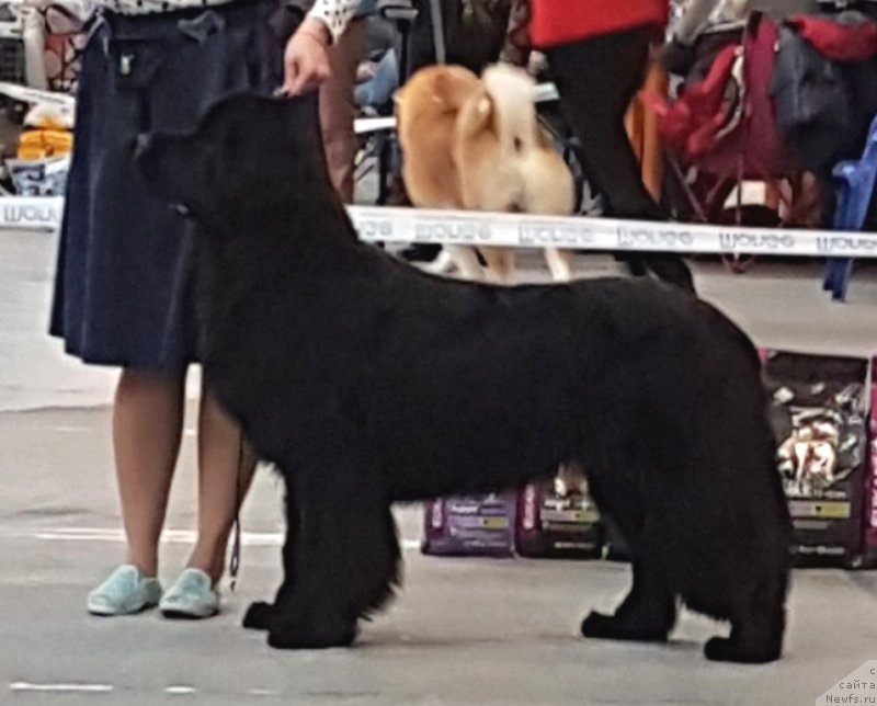 Фотография № 240604