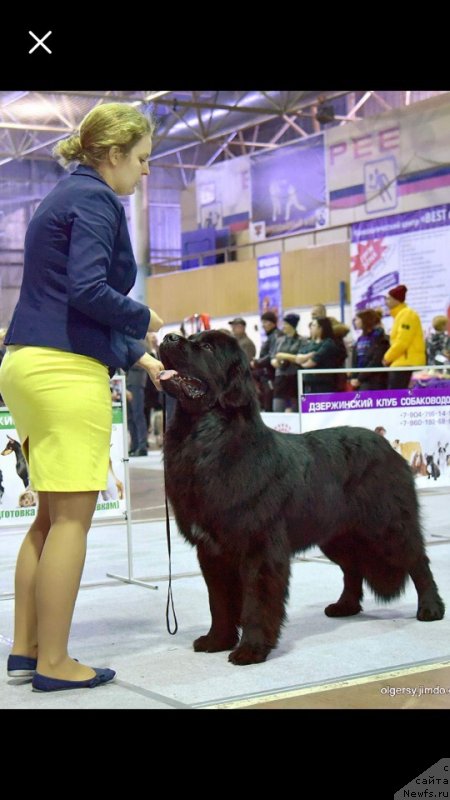 Фотография № 240606