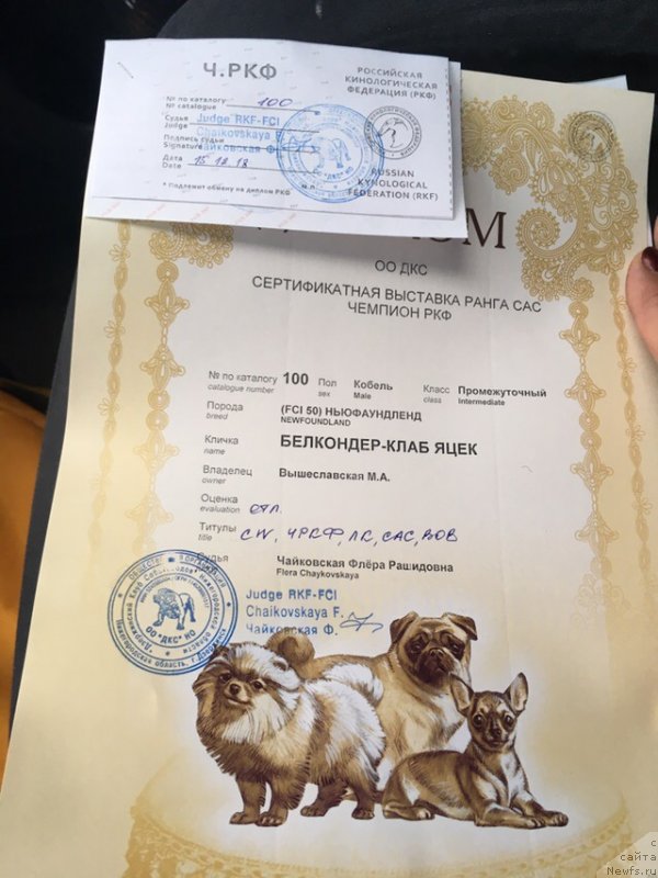 Фотография № 240607