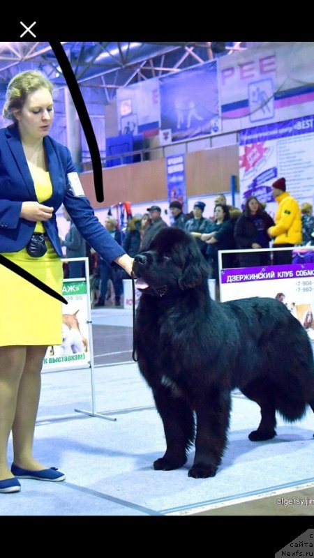 Фотография № 240609