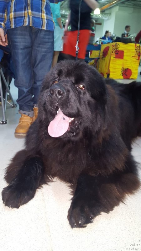 Фотография № 240620