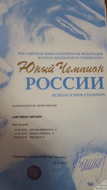 Фотография № 240621