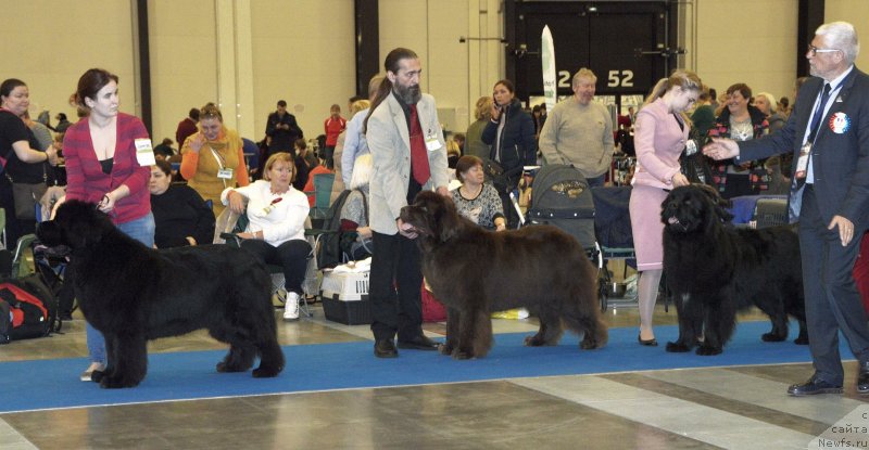 Фотография № 240631