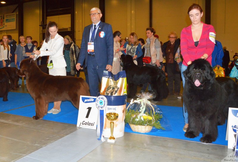 Фотография № 240642