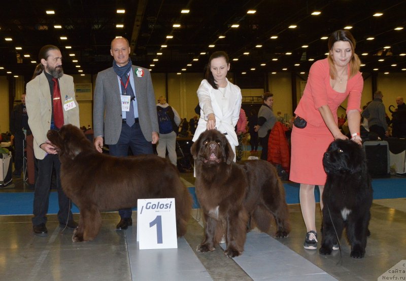 Фотография № 240652