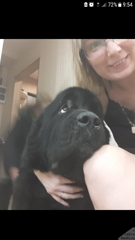 Фотография № 240664