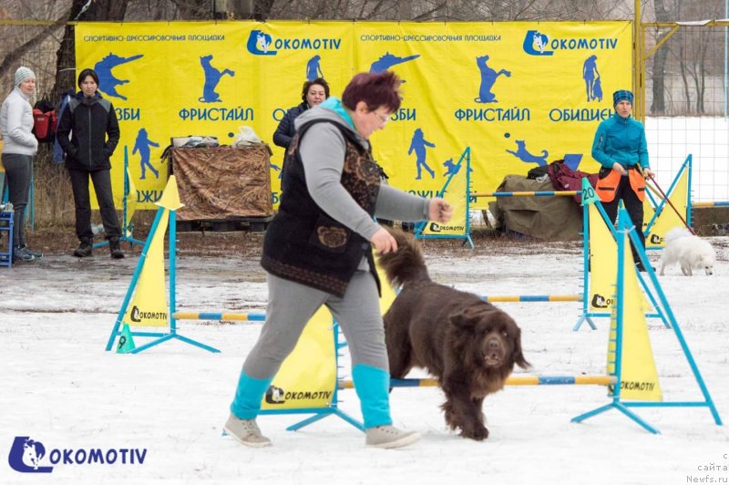 Фотография № 240679