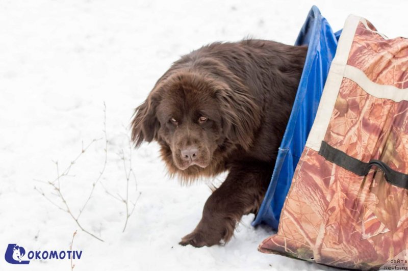 Фотография № 240680