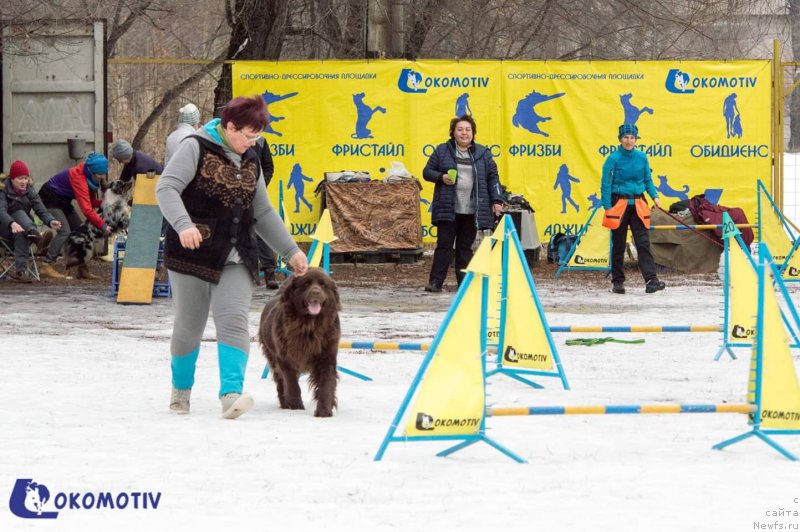 Фотография № 240681