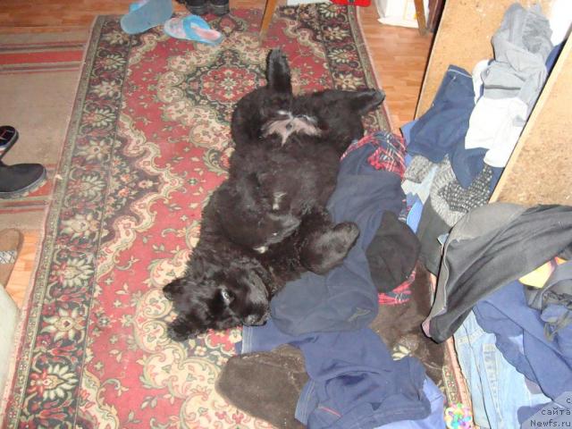 Фотография № 24069