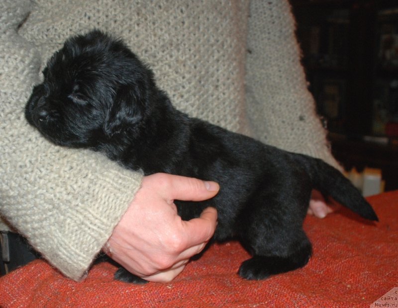 Фотография № 240692