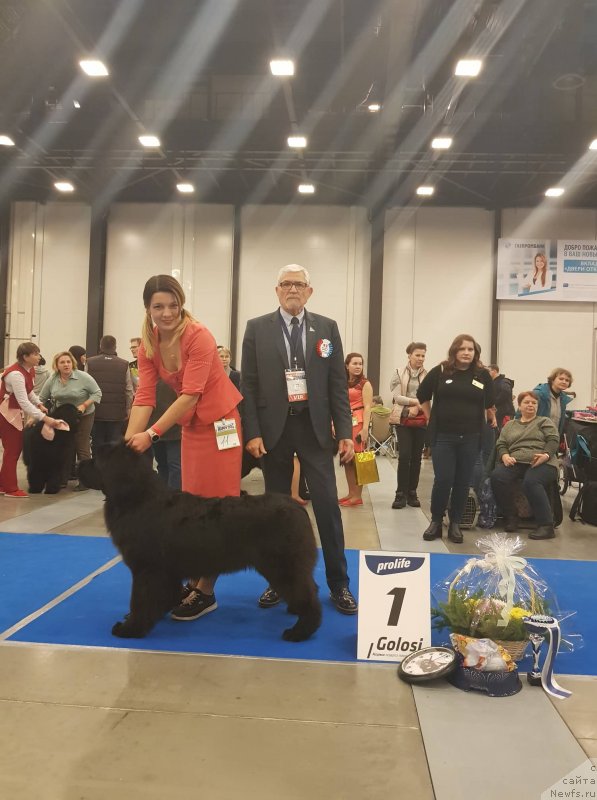 Фотография № 240698