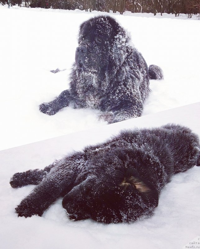 Фотография № 240704