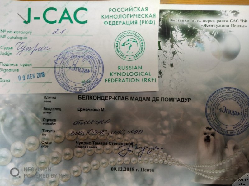 Фотография № 240709