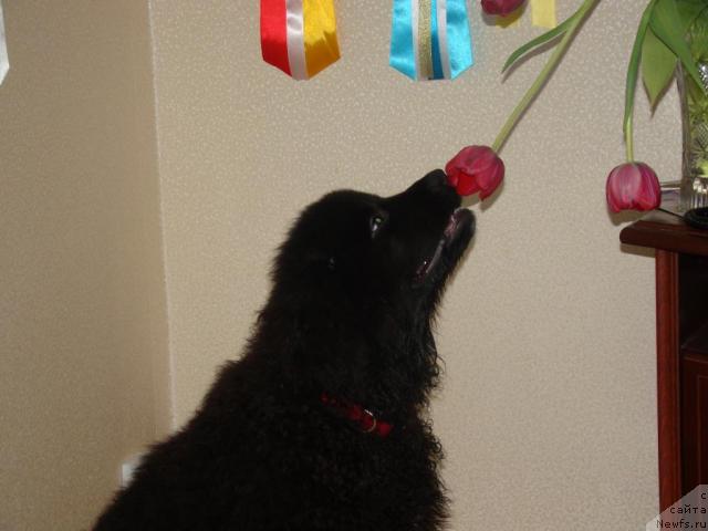 Фотография № 24071