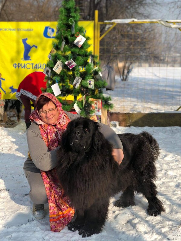 Фотография № 240739