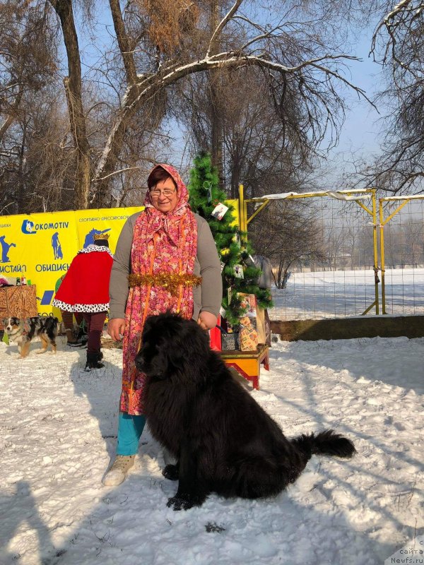 Фотография № 240740