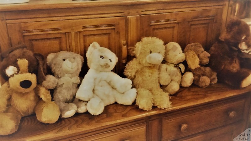 Фотография № 240778