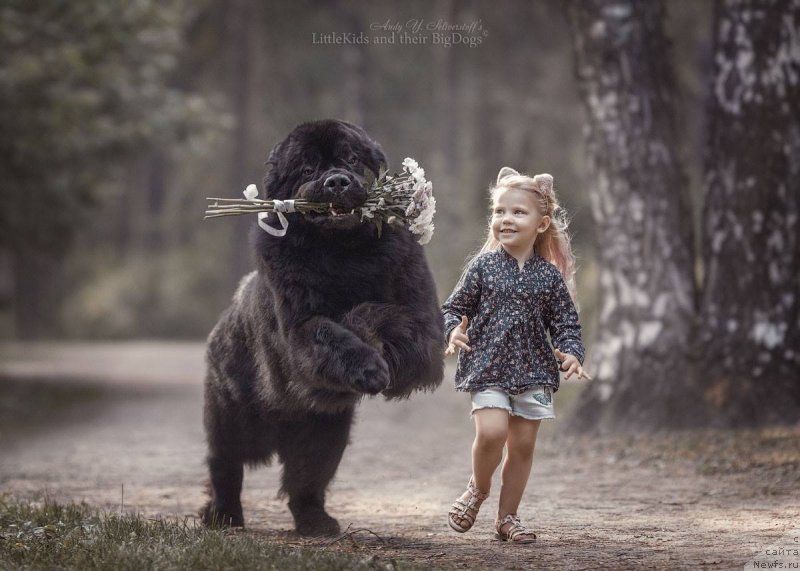 Фотография № 240781