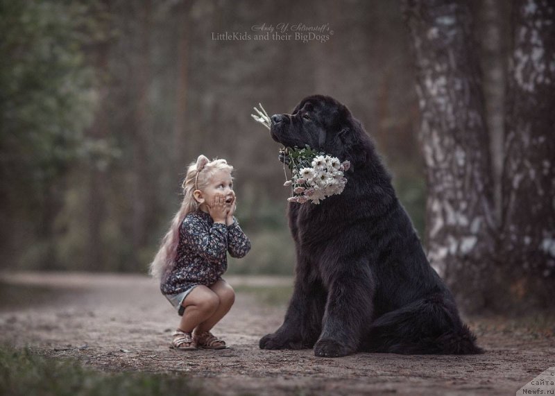 Фотография № 240782