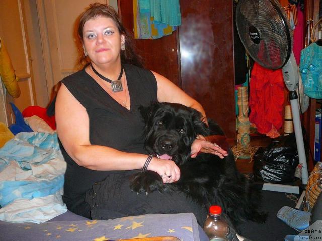 Фото: ньюфаундленд Plyushevaya Panda Gabriyela (Плюшевая Панда Габриэла), Aleksandra Poskryobyisheva (Александра Поскрёбышева)
